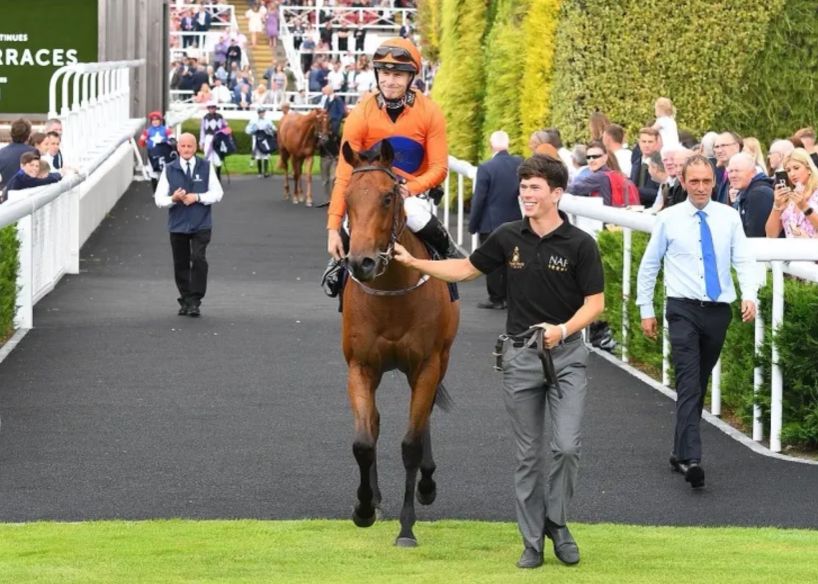 Roudee Racing Racehorse Syndicate